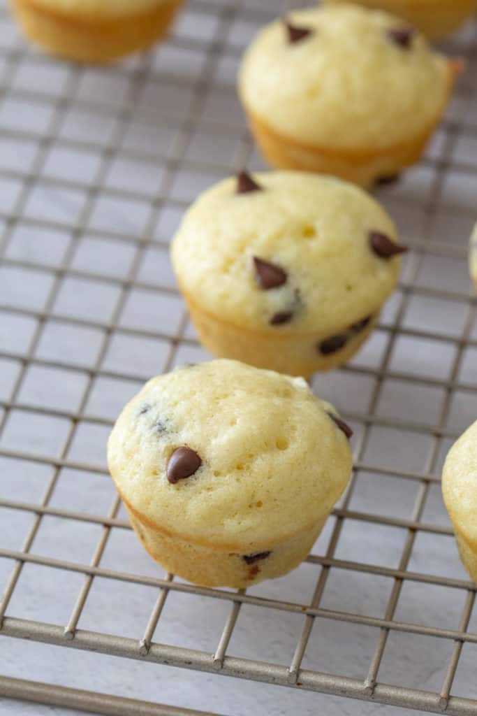 chocolate chip mini muffins on a wire cooling rack
