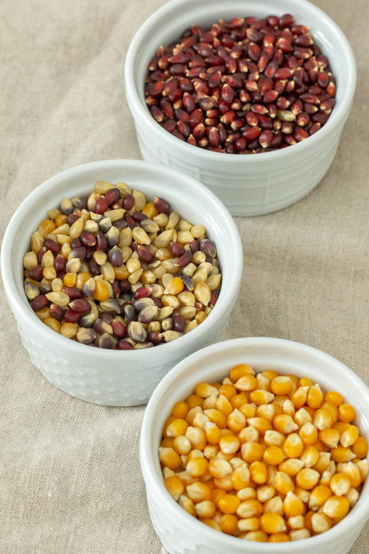 varieties of popcorn kernels in bowls