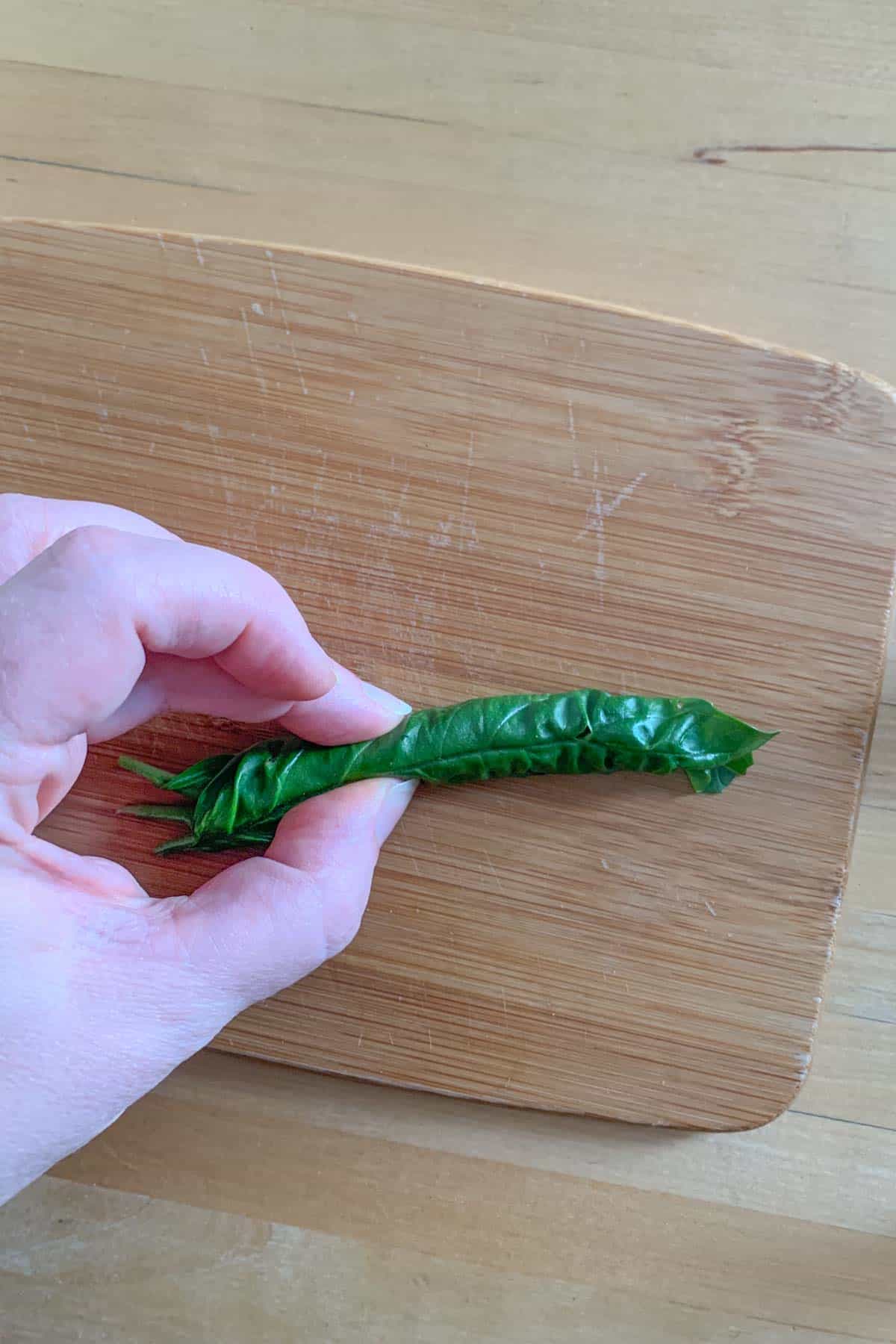 rolled basil leaves