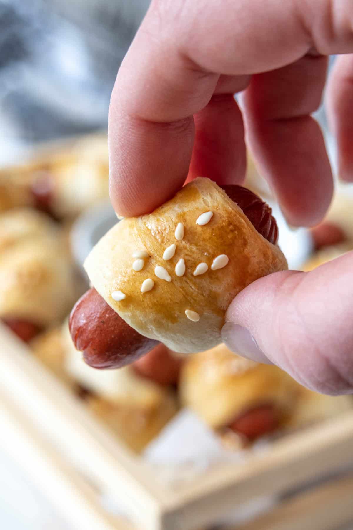 Close up of pig in a blanket snack.