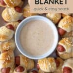 A plate of pigs in a blanket arranged around a bowl of dipping sauce, labeled "Pigs in a Blanket: quick & easy snack"—a perfect way to enjoy this classic party favorite.