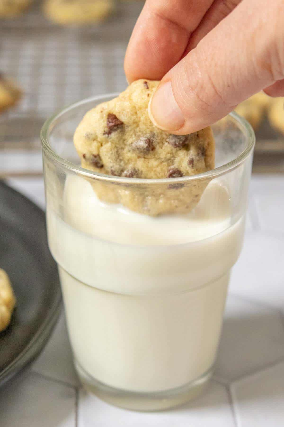 Dunking mini chocolate chip cookie into a small glass of milk.