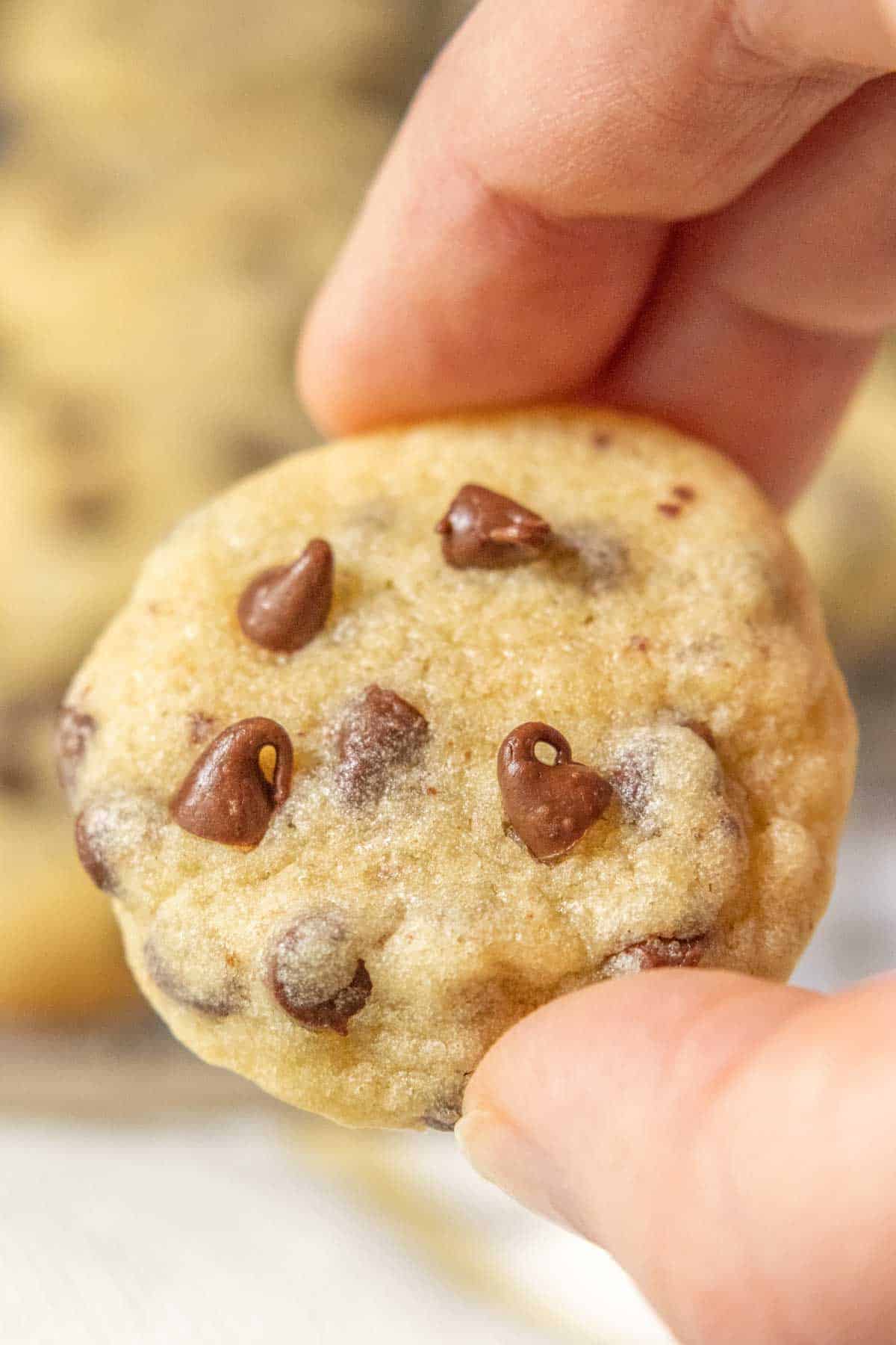 Mini chocolate chip cookie being held up to show size.