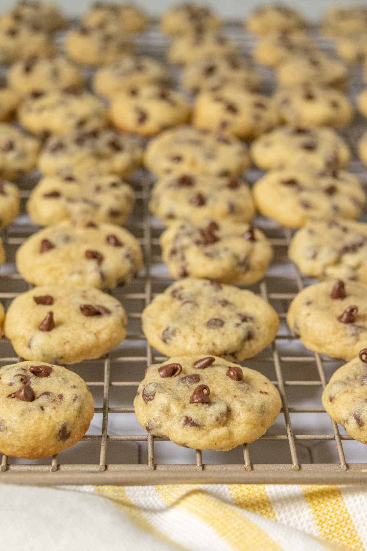 Mini chocolate chip cookies on a cooling rack.