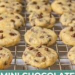 Rows of freshly baked mini chocolate chip cookies cool on a wire rack, with a label at the bottom displaying "Mini Chocolate Chip Cookies" and a website URL for irresistible treats.