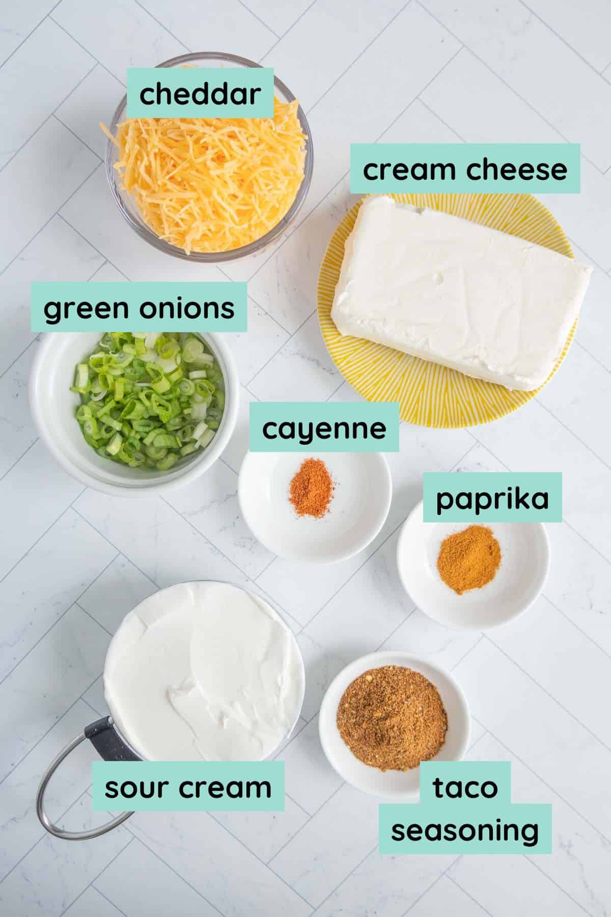 Labeled ingredients on a countertop: shredded cheddar, cream cheese, sliced green onions, sour cream, cayenne, paprika, and taco seasoning.