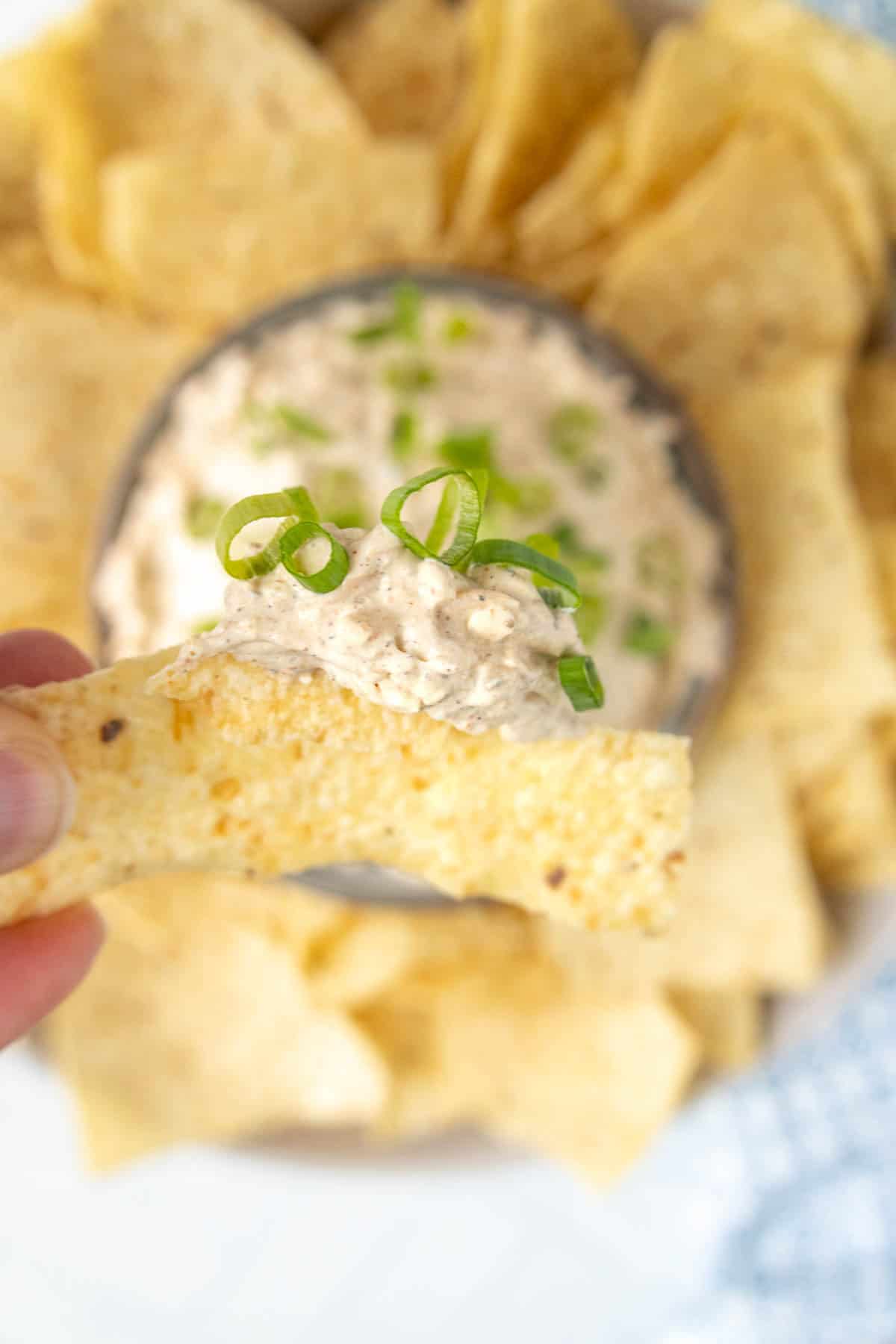 Close-up of a tortilla chip with creamy dip topped with green onions, held above a bowl surrounded by more chips.